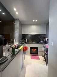 Mon Jervois (D10), Condominium #519255021